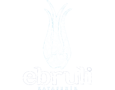 EBRULİ KAYAŞEHİR